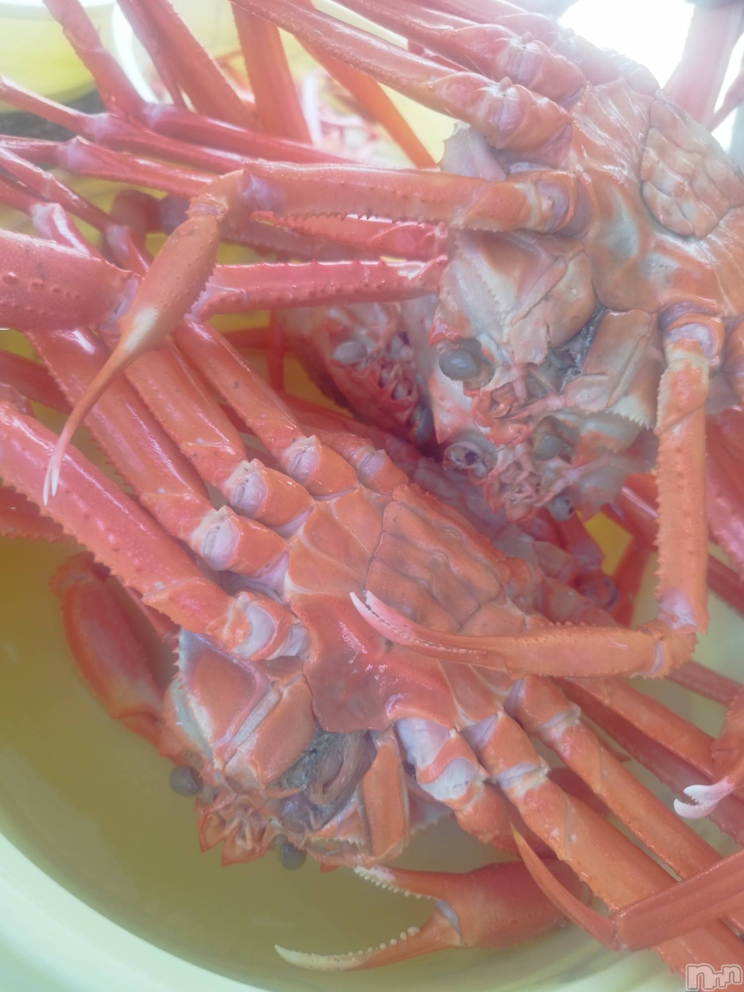 Ʋʥå륺СLOUNGE ICHI (饦󥸥) 2025ǯ629̥֥6.29🦀