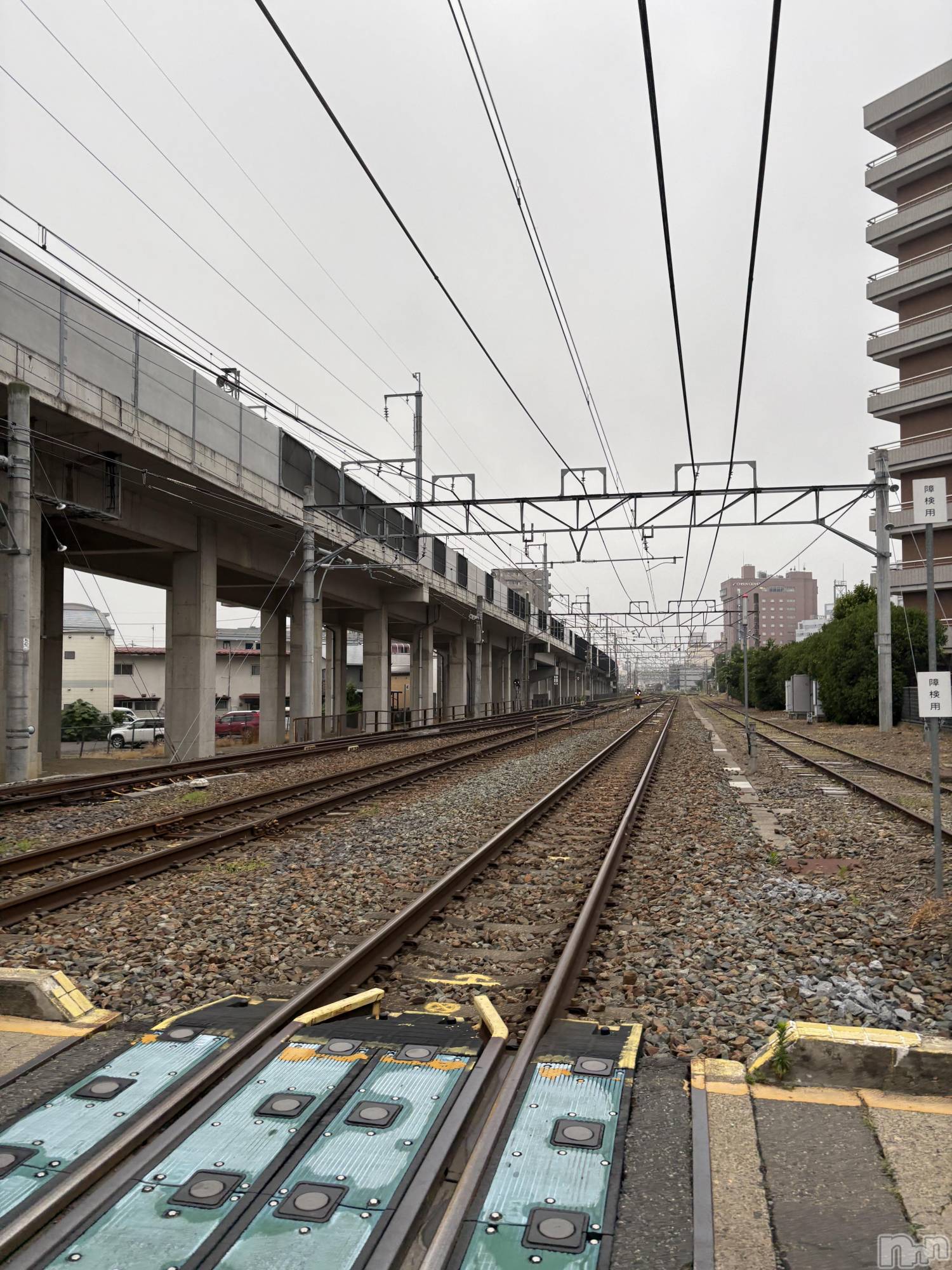 Ʋʥå륺СLOUNGE ICHI (饦󥸥) 2025ǯ77̥֥ī🚃