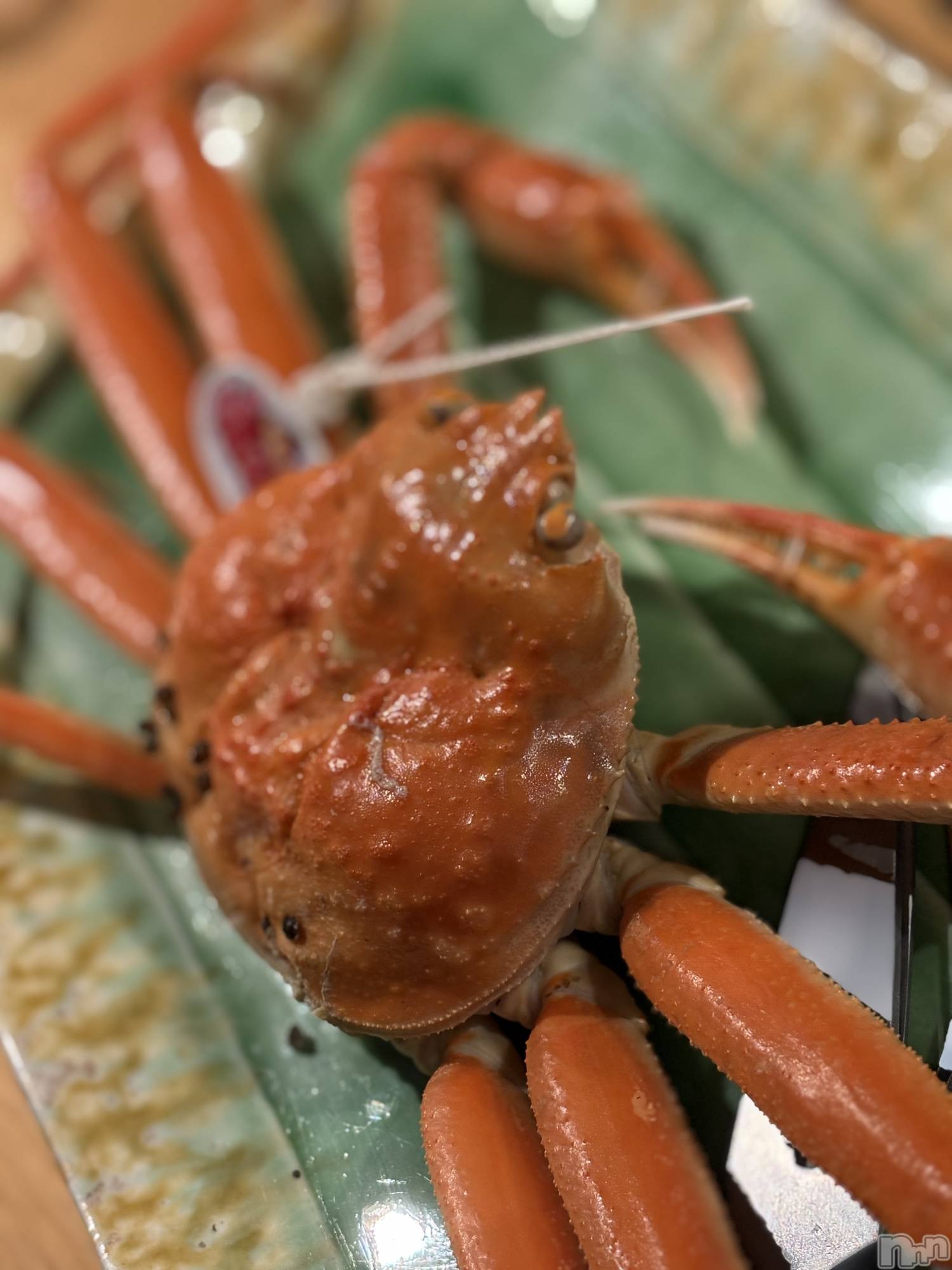 Ʋʥå륺СLOUNGE ICHI (饦󥸥) 2025ǯ1031̥֥🦀͡