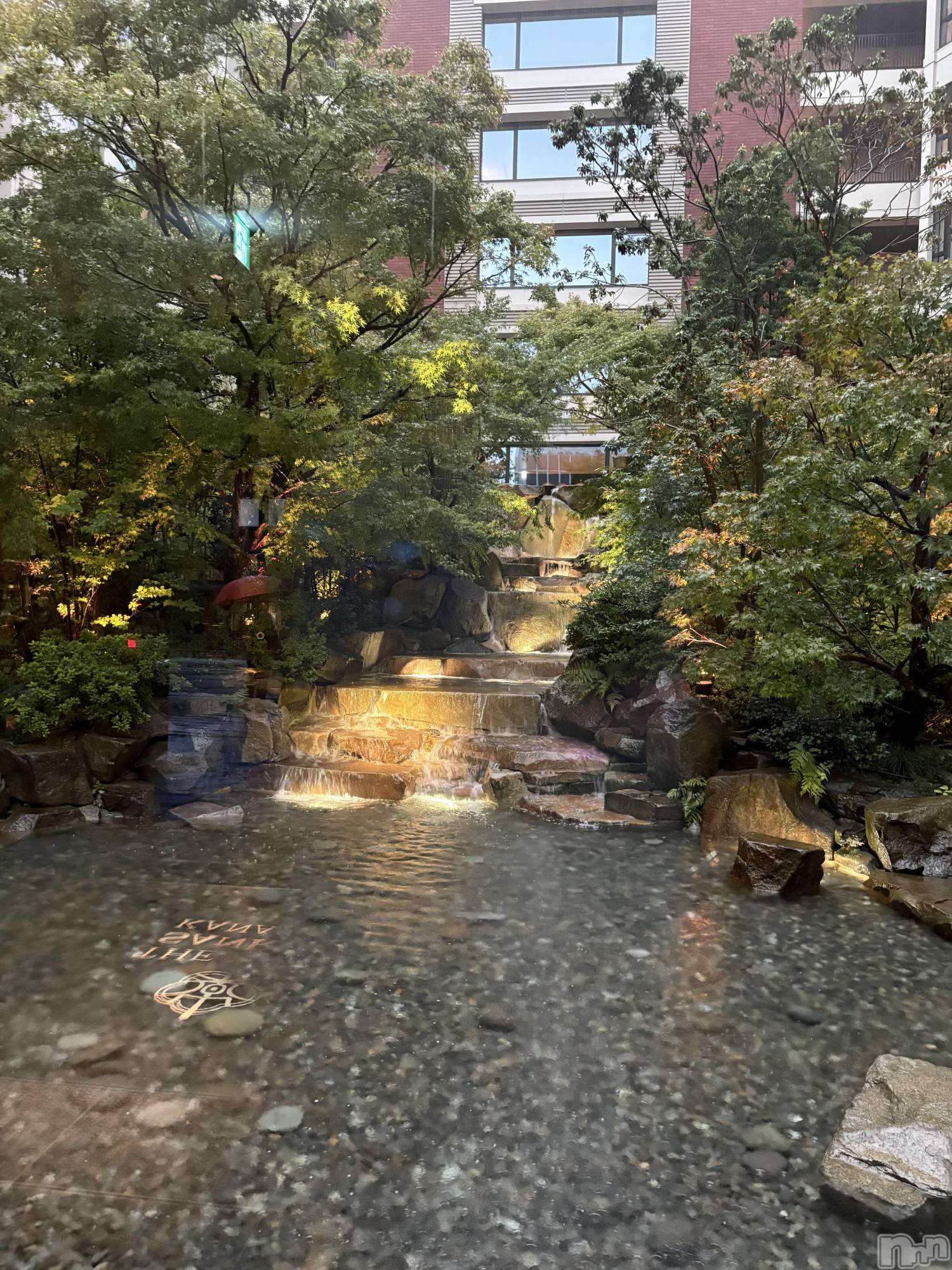 Ʋʥå륺СLOUNGE ICHI (饦󥸥) 2025ǯ117̥֥🌲