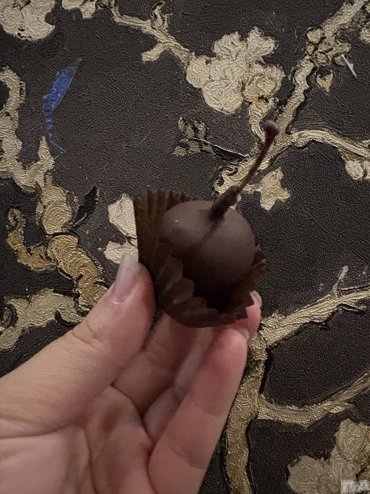 Ʋʥå륺СLOUNGE ICHI (饦󥸥) 2025ǯ1116̥֥🍒