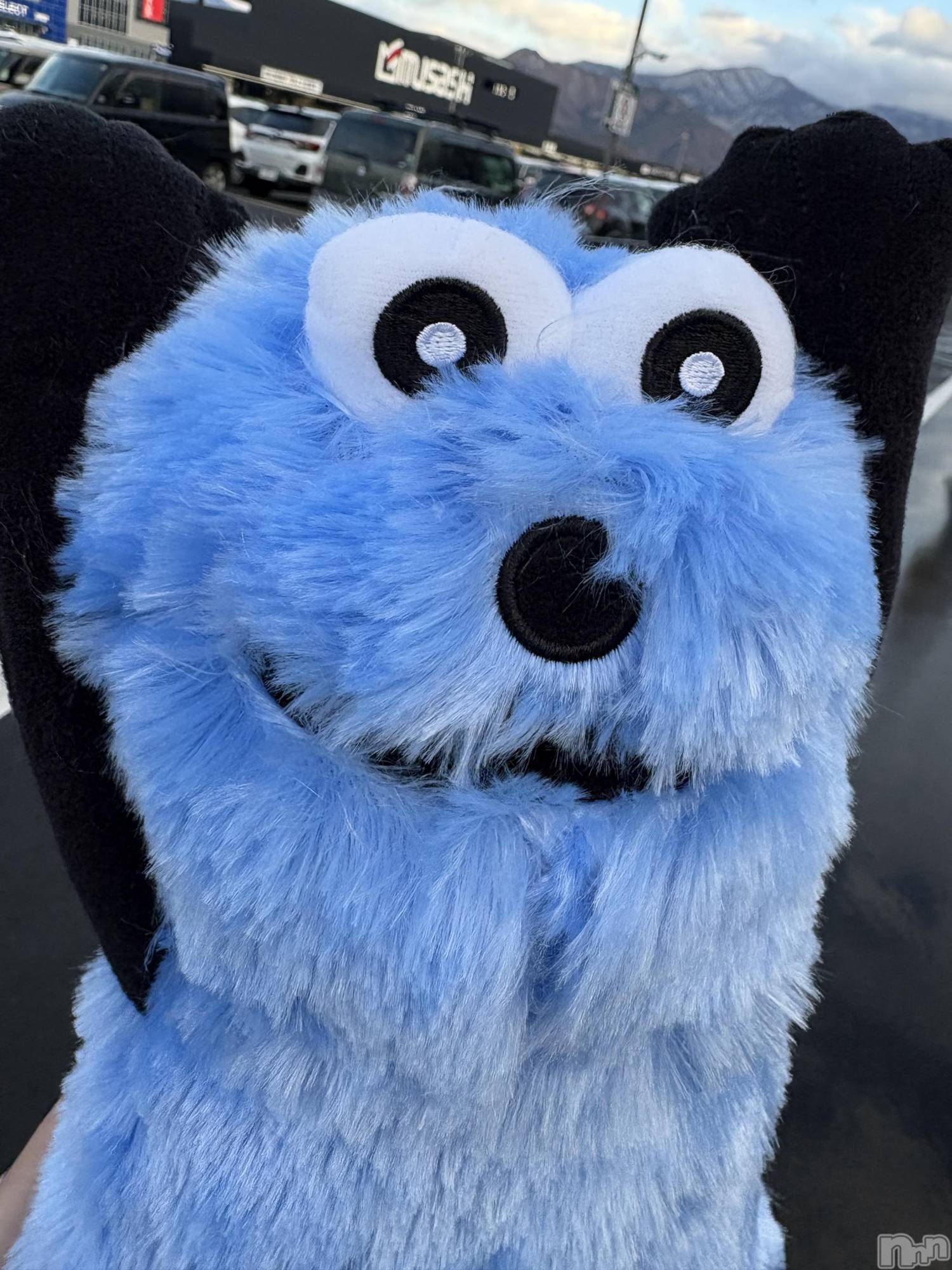 ��Ʋ���ʥå��������륺�С�LOUNGE ICHI ������(�饦�󥸥���) ��2026ǯ1��5���̥�֥����֤դ���✨��