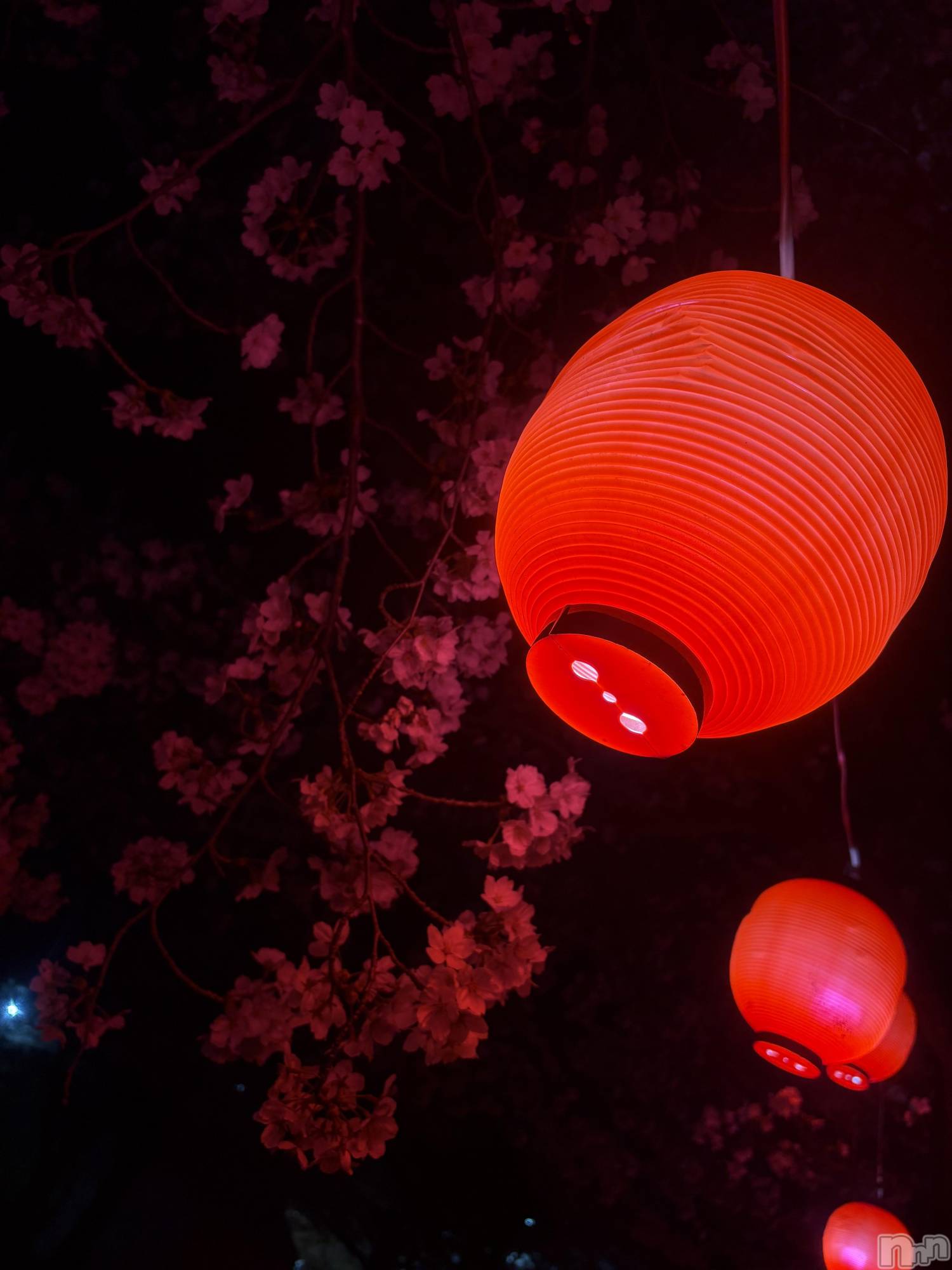 ��Ʋ���ʥå��������륺�С�LOUNGE ICHI ������(�饦�󥸥���) ��2026ǯ4��9���̥�֥�����🌸��