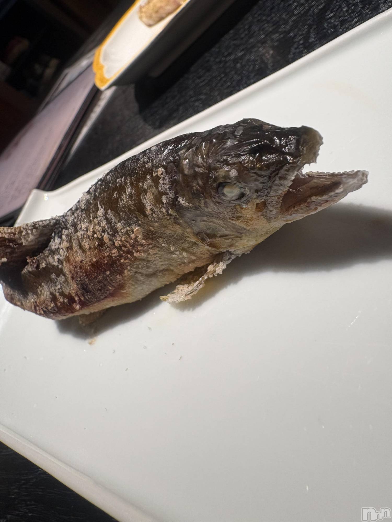 ��Ʋ���ʥå��������륺�С�LOUNGE ICHI ������(�饦�󥸥���) ��2026ǯ5��24���̥�֥�����🐟��