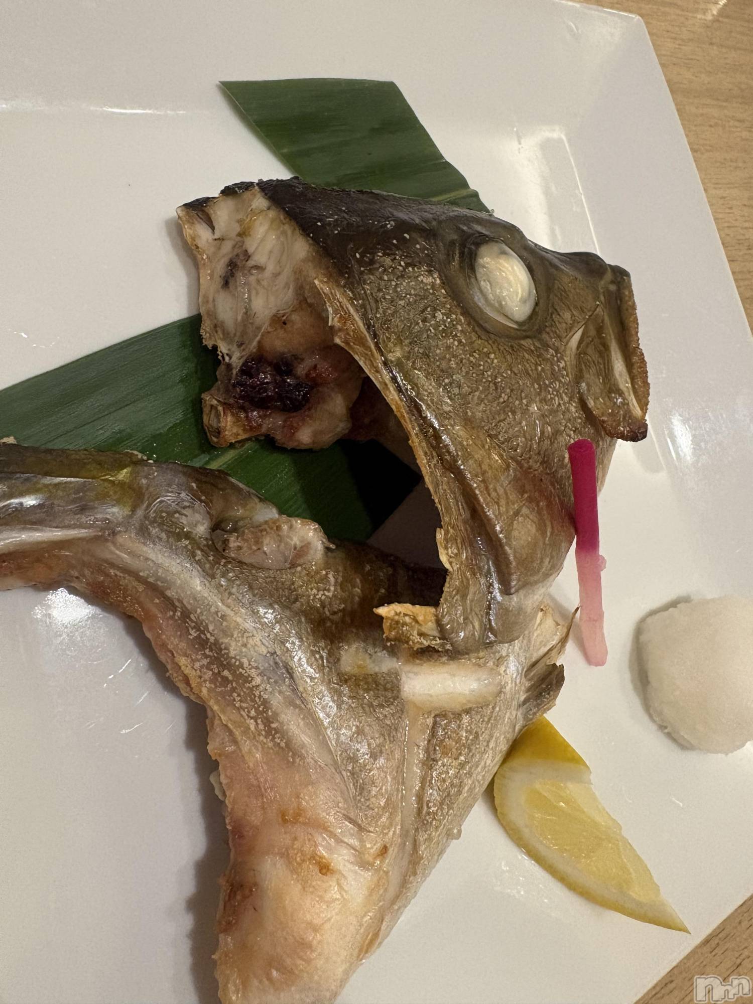 ��Ʋ���ʥå��������륺�С�LOUNGE ICHI ������(�饦�󥸥���) ��2026ǯ7��19���̥�֥����֤���🐟��