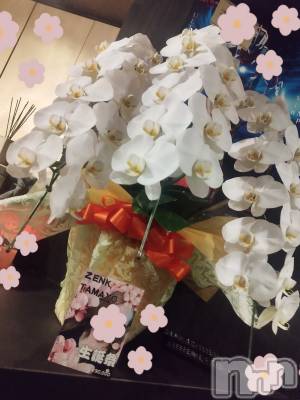 Ʋʥå륺СLOUNGE ICHI (饦󥸥) 85̥֥8.5🎀