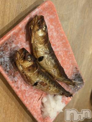 ��Ʋ���ʥå��������륺�С�LOUNGE ICHI ������(�饦�󥸥���) ��������������4��29���̥�֥�����🐟��