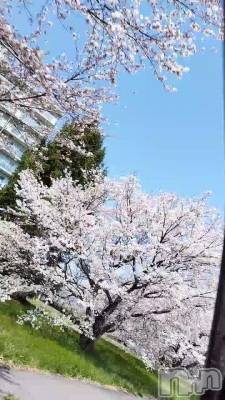 🌸