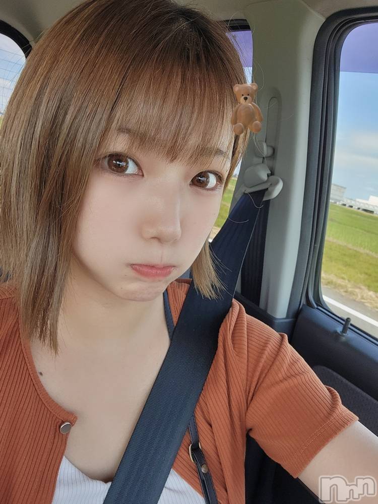 ȯѥ˥󥯥֥ϥ饹ѡץ쥸(ϥ饹ѥץ쥸) ʤ929̥֥ƻ֡🚗