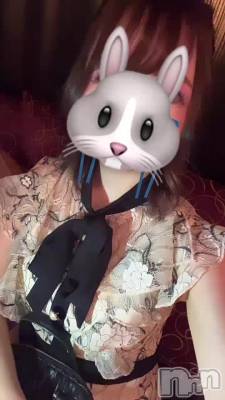 🐰
