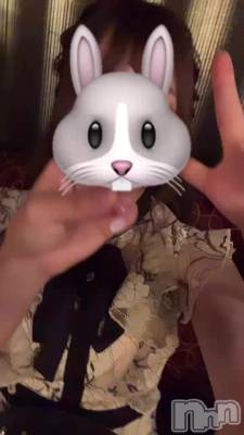🐰