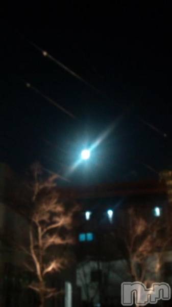 ƲХ顦151-A()  2014ǯ115̥֥νжС