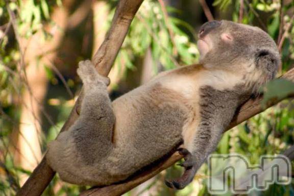 長岡デリヘルBIANCA～主人の知らない私～長岡店(ビアンカナガオカテン) 松下　ゆめか(32)の6月4日写メブログ「👩🏻💛」