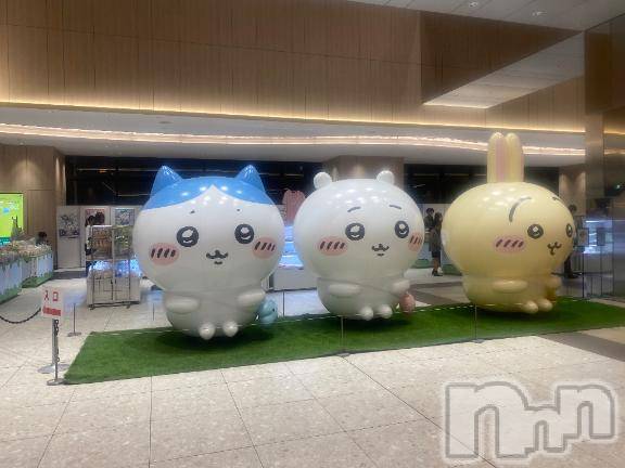 長岡デリヘルBIANCA～主人の知らない私～長岡店(ビアンカナガオカテン) 松下　ゆめか(32)の10月18日写メブログ「あら、可愛いこちゃんいた(･∀･)」