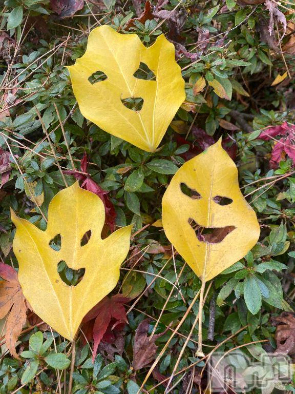 長岡デリヘルBIANCA～主人の知らない私～長岡店(ビアンカナガオカテン) 松下　ゆめか(34)の2月19日写メブログ「また☃️」