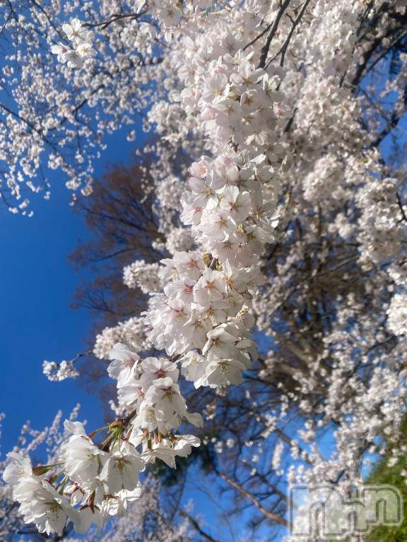 長岡デリヘルBIANCA～主人の知らない私～長岡店(ビアンカナガオカテン) 松下　ゆめか(34)の4月6日写メブログ「🌸」