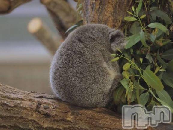 長岡デリヘルBIANCA～主人の知らない私～長岡店(ビアンカナガオカテン)松下　ゆめか(32)の2025年7月28日写メブログ「おやすみ😴」