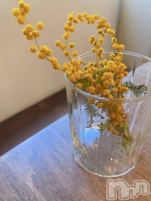 長岡デリヘルBIANCA～主人の知らない私～長岡店(ビアンカナガオカテン)松下　ゆめか(34)の2026年4月15日写メブログ「ご報告です🤝」