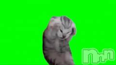 長岡デリヘルBIANCA～主人の知らない私～長岡店(ビアンカナガオカテン) 松下　ゆめか(32)の2月20日写メブログ「焦る」