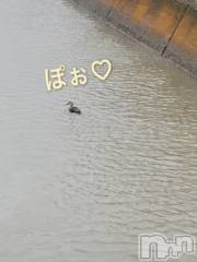 長岡デリヘルBIANCA～主人の知らない私～長岡店(ビアンカナガオカテン) 松下　ゆめか(32)の4月17日写メブログ「報告😇」