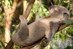 長岡デリヘルBIANCA～主人の知らない私～長岡店(ビアンカナガオカテン) 松下　ゆめか(32)の6月4日写メブログ「👩🏻💛」