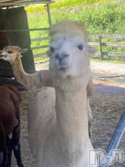 長岡デリヘルBIANCA～主人の知らない私～長岡店(ビアンカナガオカテン) 松下　ゆめか(32)の9月10日写メブログ「ジブリの世界🌎」