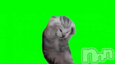 長岡デリヘル BIANCA～主人の知らない私～長岡店(ビアンカナガオカテン) 松下　ゆめか(34)の2月20日写メブログ「焦る」