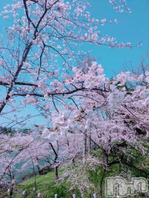 長岡デリヘル BIANCA～主人の知らない私～長岡店(ビアンカナガオカテン) 松下　ゆめか(34)の4月9日写メブログ「ドライブ(˶ᐢᴗᐢ˶)」