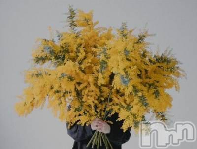 長岡デリヘル BIANCA～主人の知らない私～長岡店(ビアンカナガオカテン) 松下　ゆめか(34)の5月10日写メブログ「10日素敵なアニキ達」