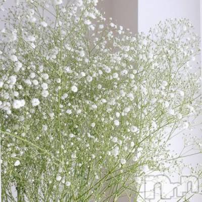 長岡デリヘル BIANCA～主人の知らない私～長岡店(ビアンカナガオカテン) 松下　ゆめか(34)の5月17日写メブログ「ごめんなさい」