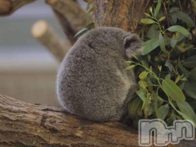 長岡デリヘル BIANCA～主人の知らない私～長岡店(ビアンカナガオカテン) 松下　ゆめか(34)の7月28日写メブログ「おやすみ😴」