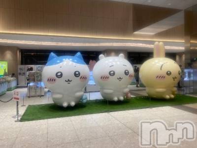 長岡デリヘル BIANCA～主人の知らない私～長岡店(ビアンカナガオカテン) 松下　ゆめか(34)の10月18日写メブログ「あら、可愛いこちゃんいた(･∀･)」