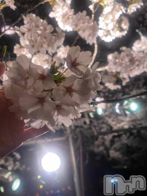 長岡デリヘル BIANCA～主人の知らない私～長岡店(ビアンカナガオカテン) 松下　ゆめか(34)の4月4日写メブログ「楽しまなきゃ👶🏻🌟」