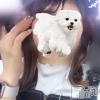 ���ߤ�