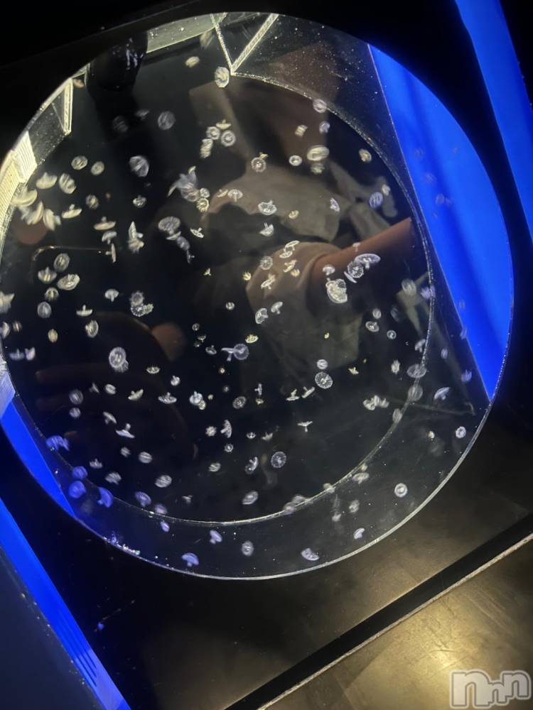 三条デリヘル新潟デリヘル倶楽部　三条店(ニイガタデリヘルクラブ　サンジョウテン) あい(19)の11月22日写メブログ「しゅ！」