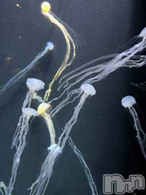 三条デリヘル 新潟デリヘル倶楽部　三条店(ニイガタデリヘルクラブ　サンジョウテン) あい(19)の6月22日写メブログ「きのうはありがと！」