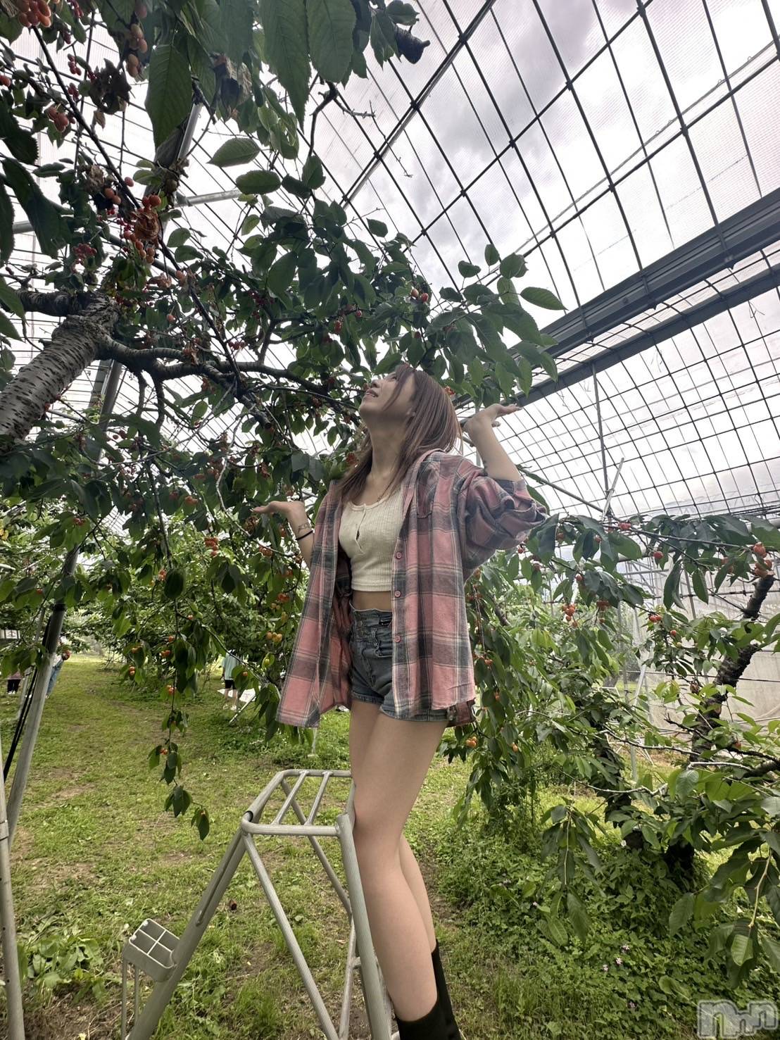 ܱХ顦() 2025ǯ62̥֥֤ܼ🍒ྀི🍒ྀི