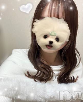 ȯѥ˥󥯥֥饰奢꡼ѡ˥С(饰奢꡼ѥ˥С) Ķ(20)1112̥֥֤Τ餻Ǥ📢