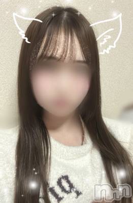 ȯѥ˥󥯥֥饰奢꡼ѡ˥С(饰奢꡼ѥ˥С) Ķ(20)116̥֥ԤäƤ💖