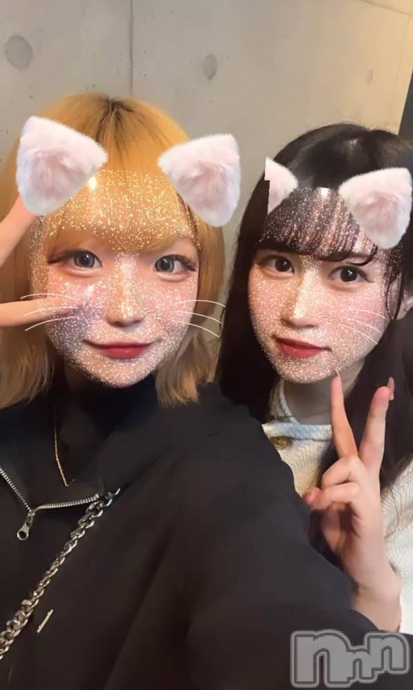 ʥå륺С󥻥ץȥե̴Ѷ~̤⤷ʤ¤~(󥻥ץȥեߥϥ祦) 528̥֥Ǥ