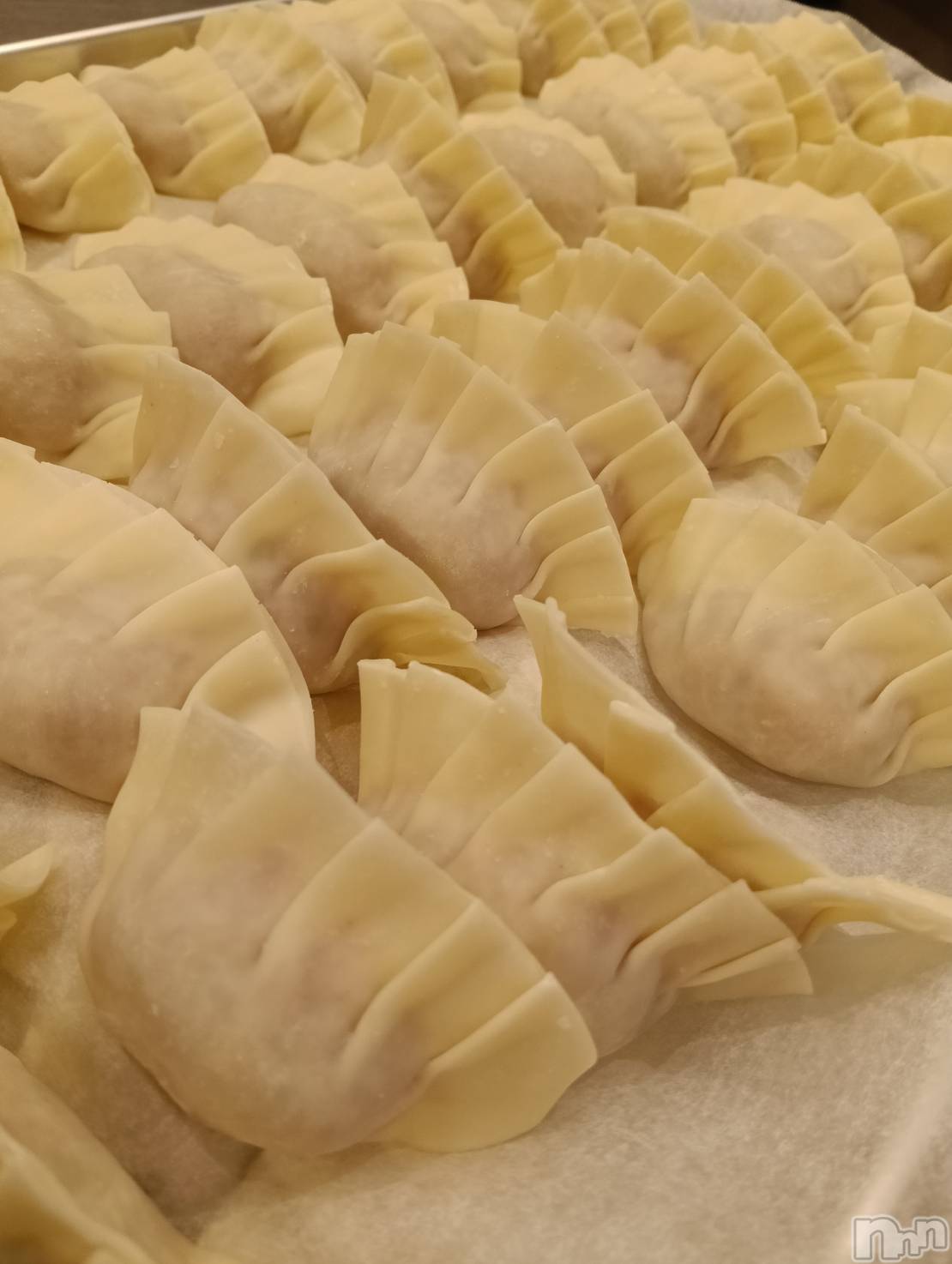 ʥå륺С󥻥ץȥե̴Ѷ~̤⤷ʤ¤~(󥻥ץȥեߥϥ祦) 2025ǯ118̥֥ϤȤ򲰤ǥХȤ