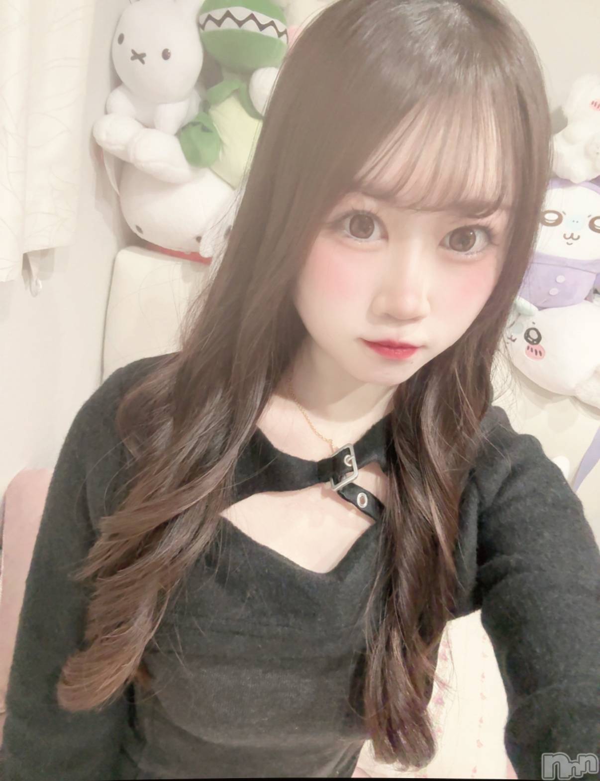 ʥå륺С󥻥ץȥե̴Ѷ~̤⤷ʤ¤~(󥻥ץȥեߥϥ祦) 2025ǯ121̥֥֤