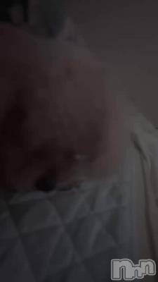 ʪ