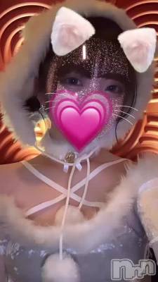 🦌•┈🌟┈🎄X'mas🎄┈🌟┈•🦌