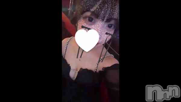 &#x1F408;&#x200D;&#x2B1B;&#x1F319;&#x1F940;