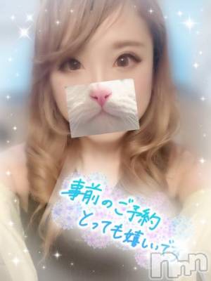 新潟デリヘル 奥様特急 新潟店(オクサマトッキュウニイガタテン) なみ(26)の6月18日写メブログ「🐱」