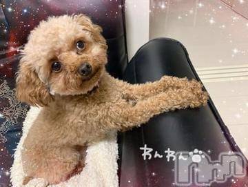 新潟人妻デリヘル熟女の風俗 最終章(ジュクジョノフウゾクサイシュウショウ)ももか(35)の2023年10月2日写メブログ「♡自慢のお手てU^ェ^U♡」