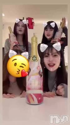19 0439ʬư