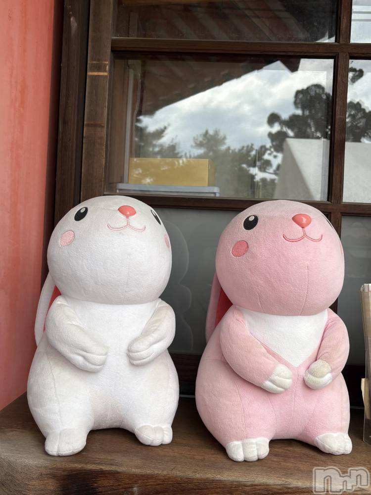 ƲХ顦clubTiara(ƥ) Τ102ֽ̥֥ߤä🐰🥕🤍