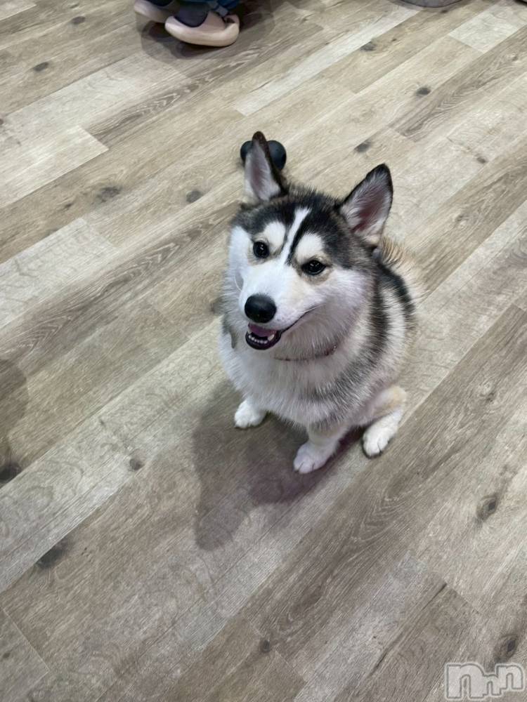 ƲХ顦clubTiara(ƥ) Τ1027̥֥֤